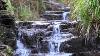 8 Hours Relaxing Waterfall Nature Sounds Calming Birdsong Sound Of Water Forest Relaxation