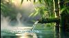 Bamboo Water Flow Relaxing Sounds U0026 Calm Music For Meditation And Deep Sleep