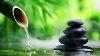 Bamboo Water Fountain Healing 24 7 Bgm