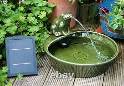 Bowl Water Feature Fountain Solar Powered Frog Pond Ceramic Design Garden Patio