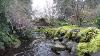 Butchart Japanese Garden Water Features Scienceman