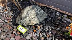 Drilled Natural Boulder C Garden Water Feature, Outdoor Fountain Great Value