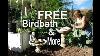 Free Birdbath Garden Fountain Find Of The Week And More