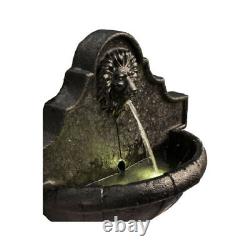 Garden Wall Water Fountain Feature & Lights, Outdoor Lion Waterfall