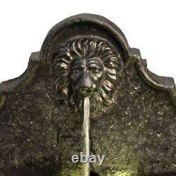 Garden Wall Water Fountain Feature & Lights, Outdoor Lion Waterfall