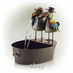 Garden Water Feature Fountain Tall Metal Crow Bird Rustic Indoor Outdoor Decor