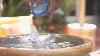 How To Keep Garden Fountain Water Clean Landscaping Tips