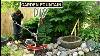How To Make A Garden Fountain In A Day Diy Japanese Water Feature