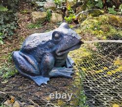 POND WATER FOUNTAIN SPITTER FROG LARGE GARDEN FEATURE STATUE 2m HOSE
