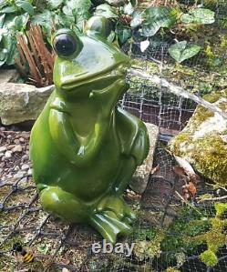 Pond Spitter Frog Fish Koi Tortoise Garden Water Fountain Feature Statue