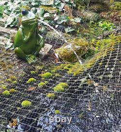 Pond Spitter Frog Fish Koi Tortoise Garden Water Fountain Feature Statue