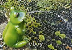 Pond Spitter Frog Fish Koi Tortoise Garden Water Fountain Feature Statue