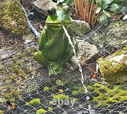 Pond Spitter Frog Fish Koi Tortoise Garden Water Fountain Feature Statue