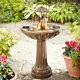 Smart Garden Duck Family Solar Water Feature Outdoor Garden Water Fountain