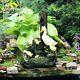 Solar Duck Family Water Feature, Garden Fountain With Lights, Duck Water Fountain