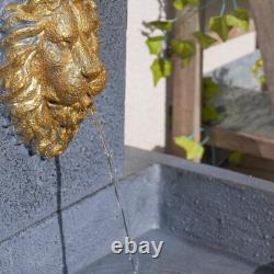 Solar Lion's Head Grey & Gold Outdoor Garden Water Fountain Feature Bird Bath