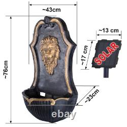 Solar Powered Lion Water Feature Garden Fountain With Led