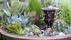 Succulent Fountain Arrangement Triple Urn Challenge November