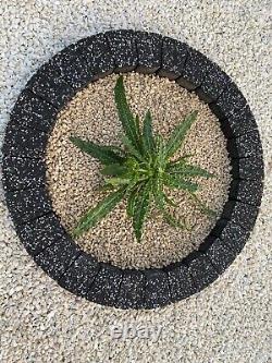 Water garden features fountain granite circle tree surround borders MANY SIZES