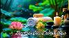 Zen Garden Relaxation Soothing Water Sounds U0026 Nature Ambience For Meditation U0026 Sleep
