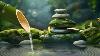 Zen Water Fountain Ambience Peaceful Bamboo Drip