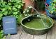 Bowl Water Feature Fontaine Solar Powered Frog Pond Design Céramique Jardin Patio