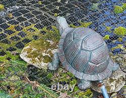 État D'état De Caractéristiques De L'eau De Tortoise De Ponds Et De Tortoise De Tortoise Nouveau 1,5 M