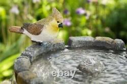 Fontaine à oiseaux et bain d'oiseaux Primrose en pavés solaires à 2 niveaux de 68 cm, résistant aux UV et au gel.