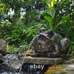 Fontaine d'eau Bull Frog. Caractéristique aquatique. Ornement de jardin en aluminium moulé.