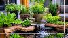 Guide Ultime Des Fontaines De Jardin Petites : Tendances 2025 Et Designs Diy Que Vous Adorerez