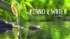 Musique De Piano Relaxante Et Sons D'eau 24/7 Idéale Pour Soulager Le Stress Et La Guérison