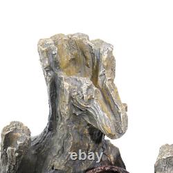 Ornement de Fontaine d'Extérieur avec Lumière LED Décorative - Jardin de Caractéristiques Aquatiques Rhizoïdes