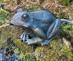 STATUE DE FROG SPITTER DE FONTAINE D'EAU DE POND CARACTÉRISTIQUE DE JARDIN GRANDE AVEC TUYAU DE 2m