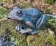Statue De Frog Spitter De Fontaine D'eau De Pond CaractÉristique De Jardin Grande Avec Tuyau De 2m